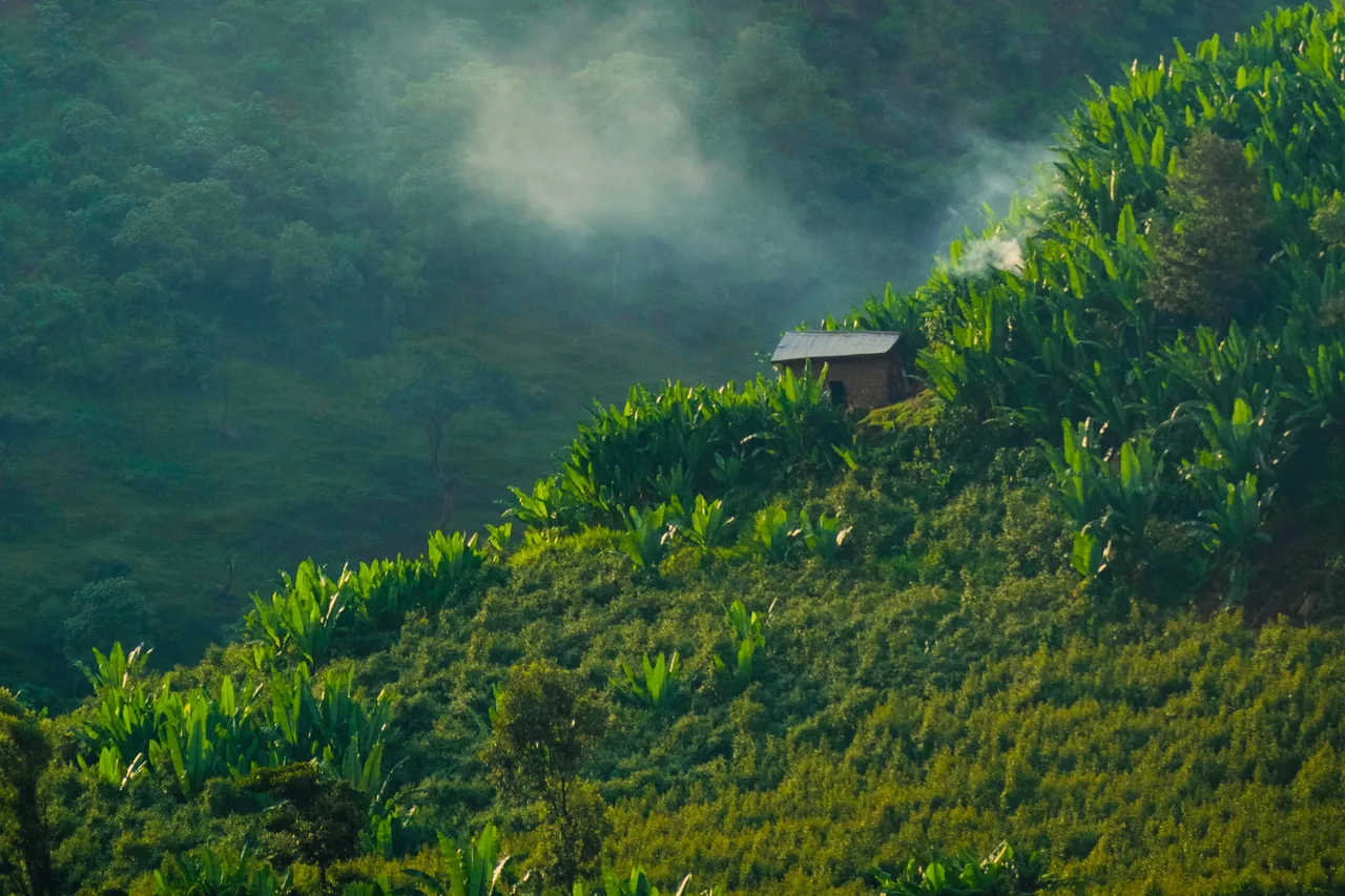 Humbo Ethiopia Assisted Natural Regeneration Project